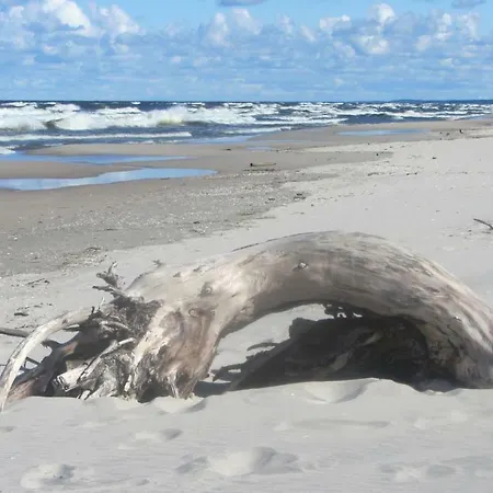 Komfortowy Lesny Dwor *