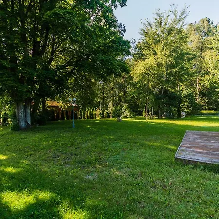 Komfortowy Lesny Dwor *