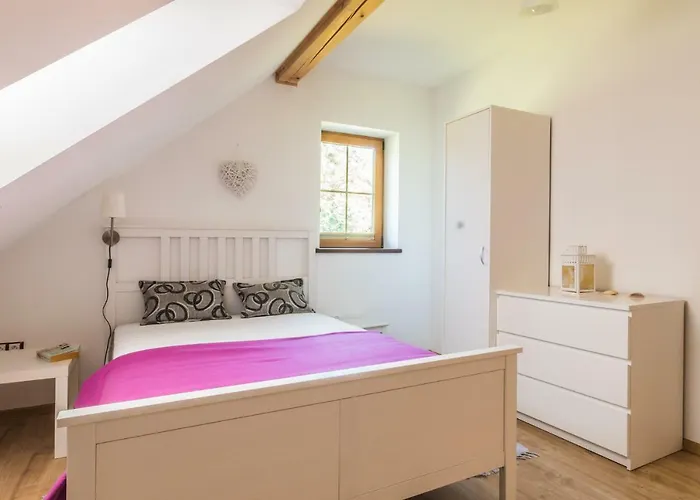 Komfortowy Lesny Dwor Semesterbostad *