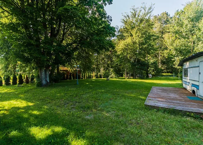 Komfortowy Lesny Dwor *